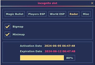 INCOGNITO SLOT PUBG Cheat | PowerUp Softwares - Image 5