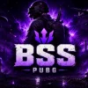 BSS Blacksector Solution PUBG