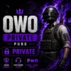 OWO PRIVATE PUBG Cheat | PowerUp Softwares