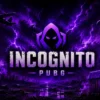 INCOGNITO SLOT PUBG