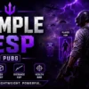 SIMPLE ESP ONLY PUBG | ESP, RADAR, AIM