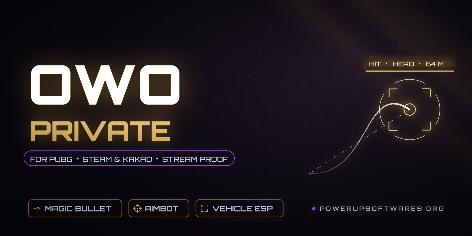 OWO Private PUBG cheat – magic bullet, aimbot and vehicle ESP
